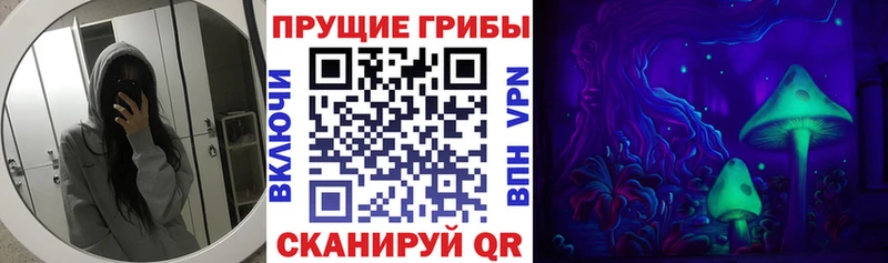 Псилоцибиновые грибы Psilocybe  цена наркотик  Новороссийск 