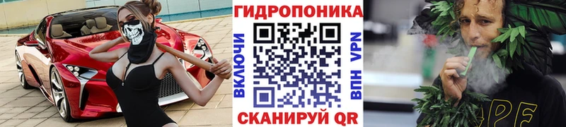 купить наркотик  блэк спрут зеркало  Бошки Шишки MAZAR  Новороссийск 